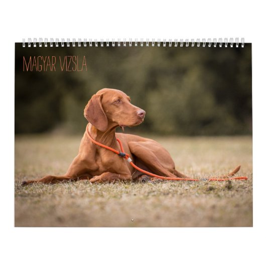 Magyar Vizsla Hunde Kalender カレンダー (カバー)