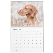 Magyar Vizsla Hunde Kalender カレンダー (1月 2027)