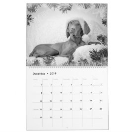 Magyar Vizsla Hunde Kalender black & white カレンダー