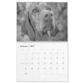 Magyar Vizsla Hunde Kalender black & white カレンダー (2月 2027)