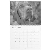 Magyar Vizsla Hunde Kalender black & white カレンダー (2月 2026)