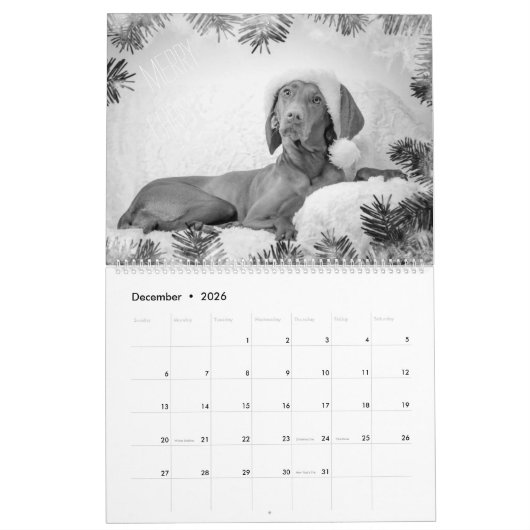 Magyar Vizsla Hunde Kalender black & white カレンダー (12月 2026)
