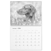 Magyar Vizsla Hunde Kalender black & white カレンダー (1月 2026)