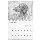 Magyar Vizsla Hunde Kalender black & white カレンダー (1月 2027)