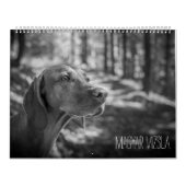 Magyar Vizsla Hunde Kalender black & white カレンダー (カバー)