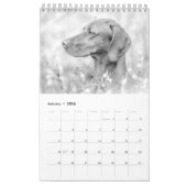 Magyar Vizsla Hunde Kalender black & white カレンダー (1月 2026)