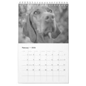 Magyar Vizsla Hunde Kalender black & white カレンダー (2月 2026)