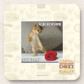 mahのタンゴを練習するIz コースター (正面)