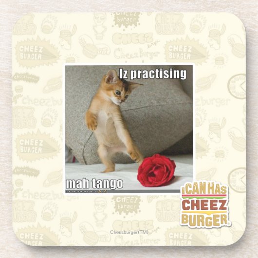 mahのタンゴを練習するIz コースター (正面)