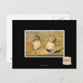 Mahのbrothah ポストカード (正面/裏面)