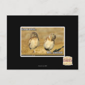 Mahのbrothah ポストカード (正面)