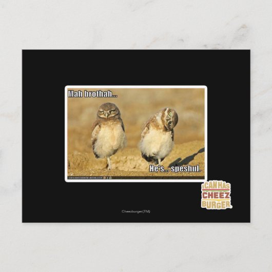 Mahのbrothah ポストカード (正面)