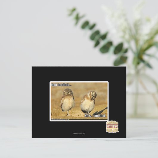 Mahのbrothah ポストカード (スタンド正面)