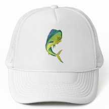 mahiのmahiの魚飼育用の水槽は男性へ|の魚飼育用の水槽かWomeを越えます