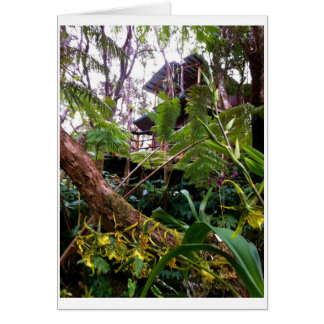 Mahinui Na Laniのツリーハウス