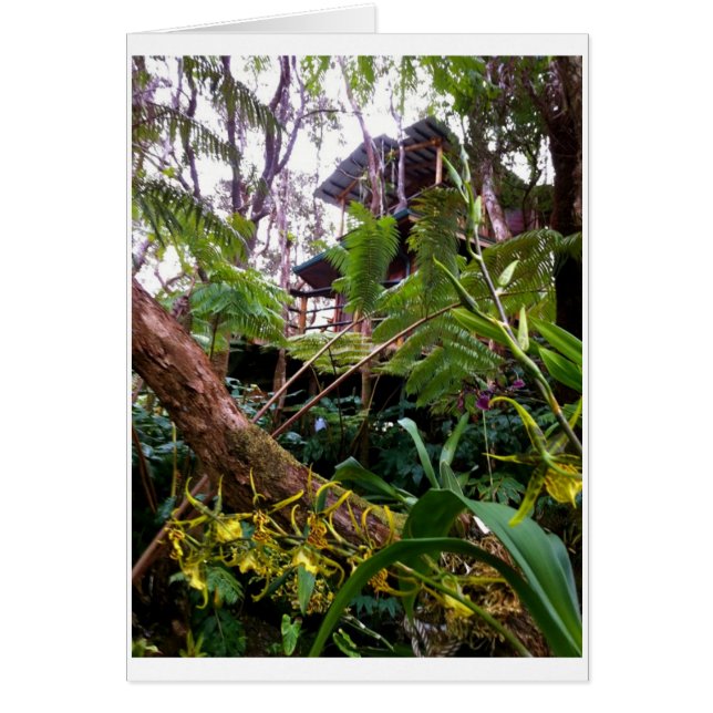 Mahinui Na Laniのツリーハウス (正面)