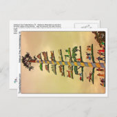 Maibaum Tree, Fredericksburg, TX ポストカード (正面/裏面)