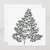 Maidenhairシダ ノートカード (正面/裏面)