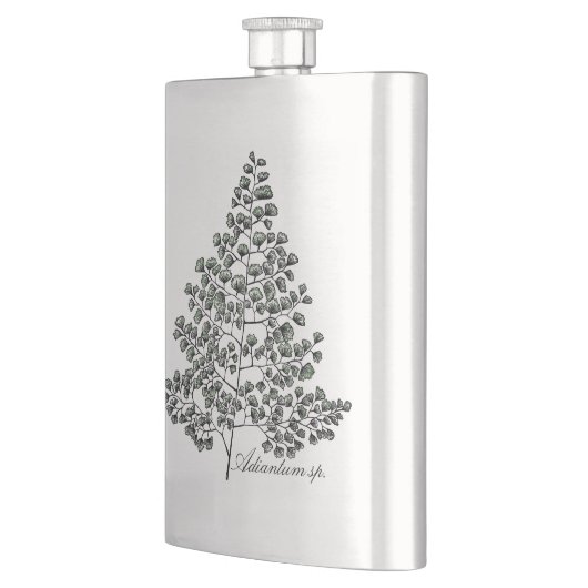 Maidenhairシダ フラスク (左)