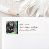 MailingLabel-5 カスタマイズ -  ラベル (インサイチュ)