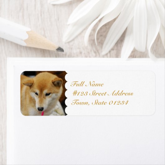 MailingLabel-5 カスタマイズ -  ラベル (インサイチュ)