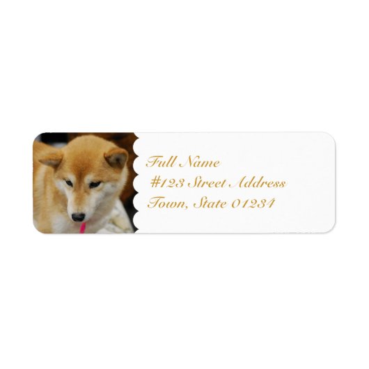 MailingLabel-5 カスタマイズ -  ラベル (正面)