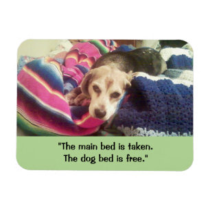 「Main Bed Taken / Dog Bed Free」 3x4フォトマグネット マグネット