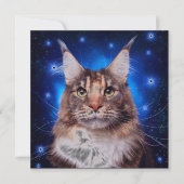 Main Coon Cat Blue Background Stars 招待状 (正面)