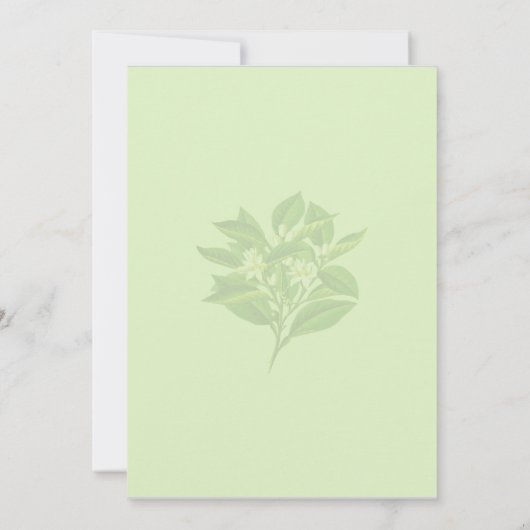 Main Squeeze Tropical Citrus Lemon Bridal Shower  招待状 (裏面)