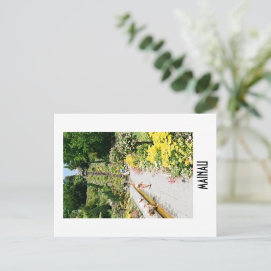 Mainau Postcard ポストカード (スタンド正面)
