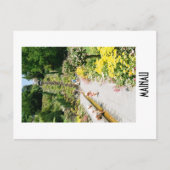 Mainau Postcard ポストカード (正面)