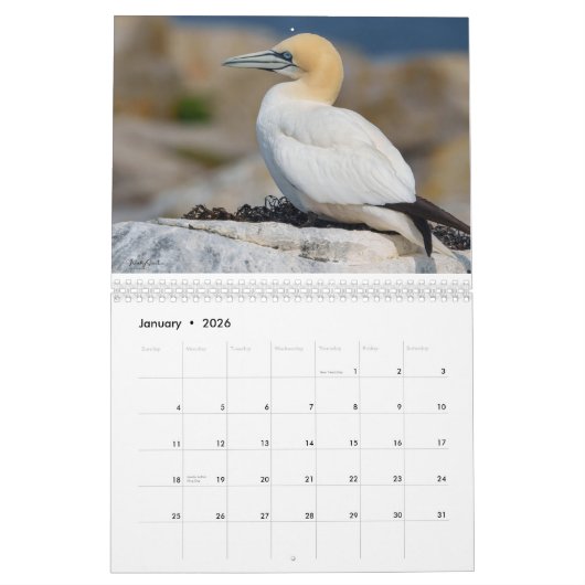 Maine Attractions 2026-2027 Calendar カレンダー (1月 2026)