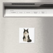 Maine Coon black and white Magnet マグネット (インサイチュ (食洗機))