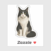 Maine Coon black and white Sticker シール (シート)