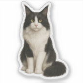 Maine Coon black and white Sticker シール (正面)