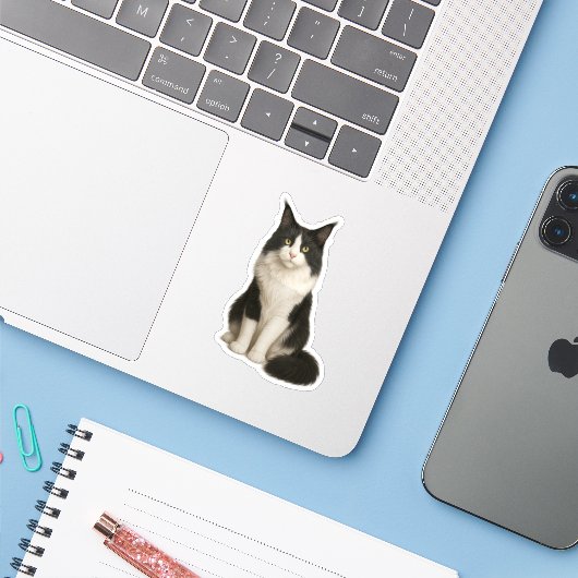 Maine Coon black and white Sticker シール (ノートパソコンとiPhone)