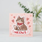 Maine Coon🐾 Breeders Near Me Cards 💖 シーズンカード (スタンド正面)