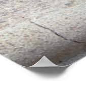 Maine Coon Cat写真 ポスター (角)