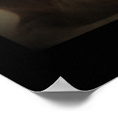 Maine Coon Cat写真 ポスター (角)