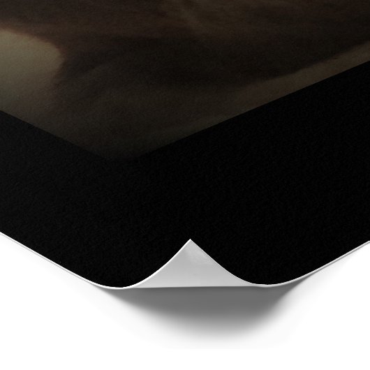 Maine Coon Cat写真 ポスター (角)