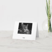 Maine Coon Cat Notecard 4 x 5.6 カード (裏面)