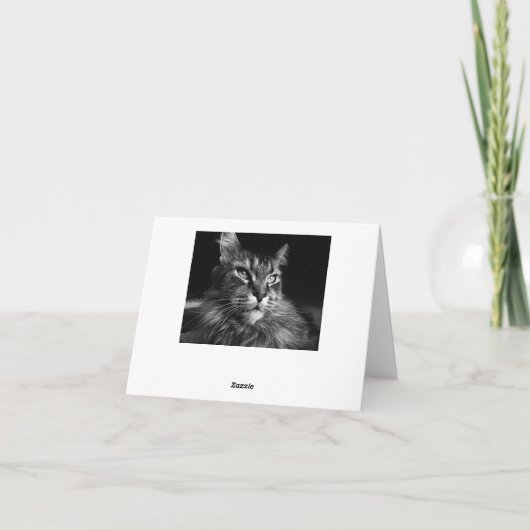 Maine Coon Cat Notecard 4 x 5.6 カード (裏面)