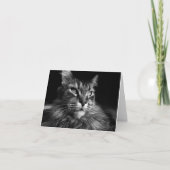 Maine Coon Cat Notecard 4 x 5.6 カード (正面)