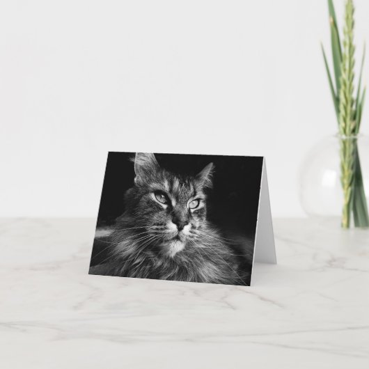 Maine Coon Cat Notecard 4 x 5.6 カード (正面)