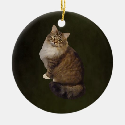 Maine Coon Cat Portrait セラミックオーナメント (正面)