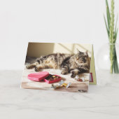 Maine Coon Cat Valentine Card シーズンカード (裏面)