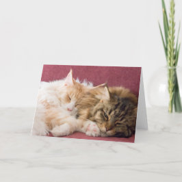 Maine Coon cats greeting card シーズンカード