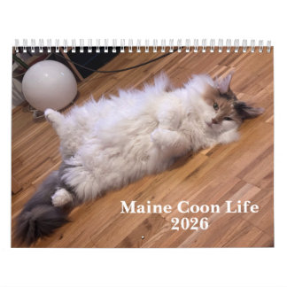 Maine Coon Cats | Main Coon Life カレンダー