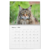 Maine Coon Cats | Main Coon Life カレンダー (2月 2026)