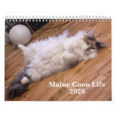 Maine Coon Cats | Main Coon Life カレンダー (カバー)
